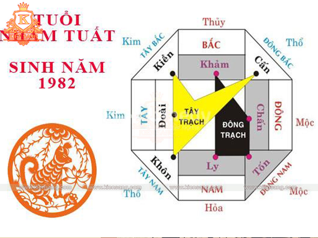 Tuổi Nhâm Tuất 1982 Hợp Hướng Nào?